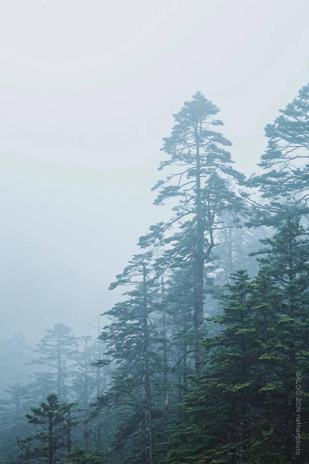 念梓渝:因为热爱,所以必须站上球场