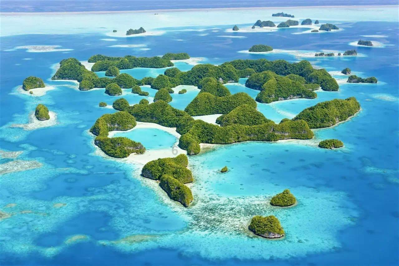 勇敢的心世界大战