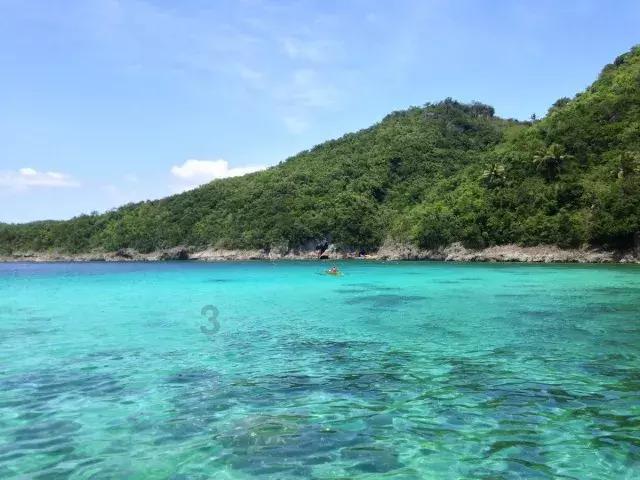 白化摇篮曲