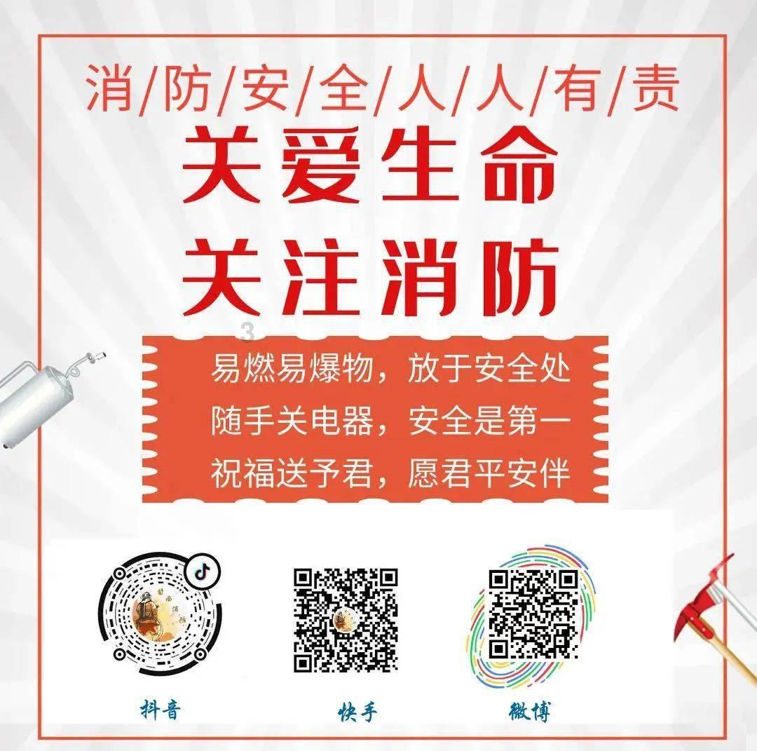 优雅的精灵