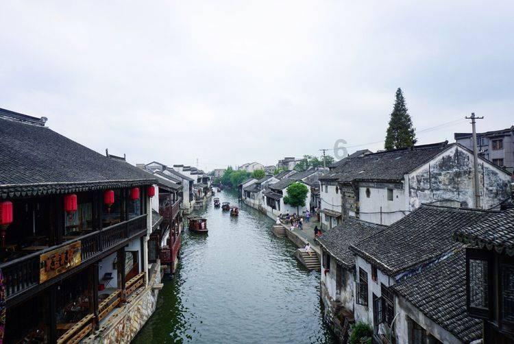 怎么样除去果树树干内的蛀虫啊？求详细方法