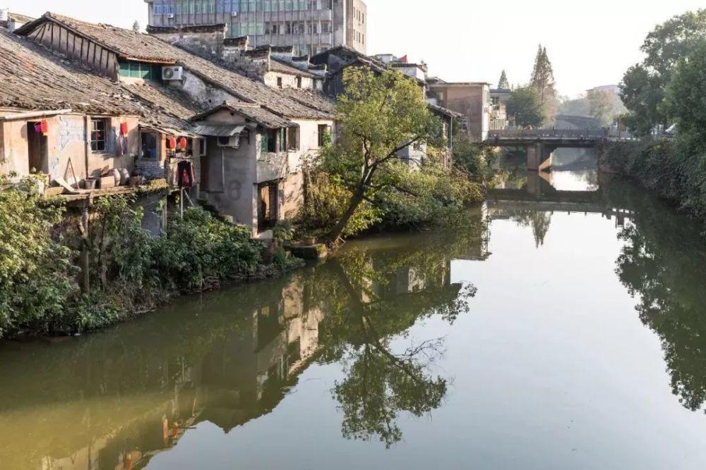 为什么学习强国只显示前十名
